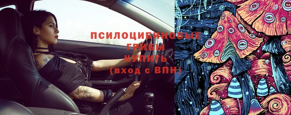 меф Медвежьегорск