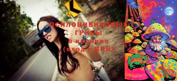 меф Медвежьегорск